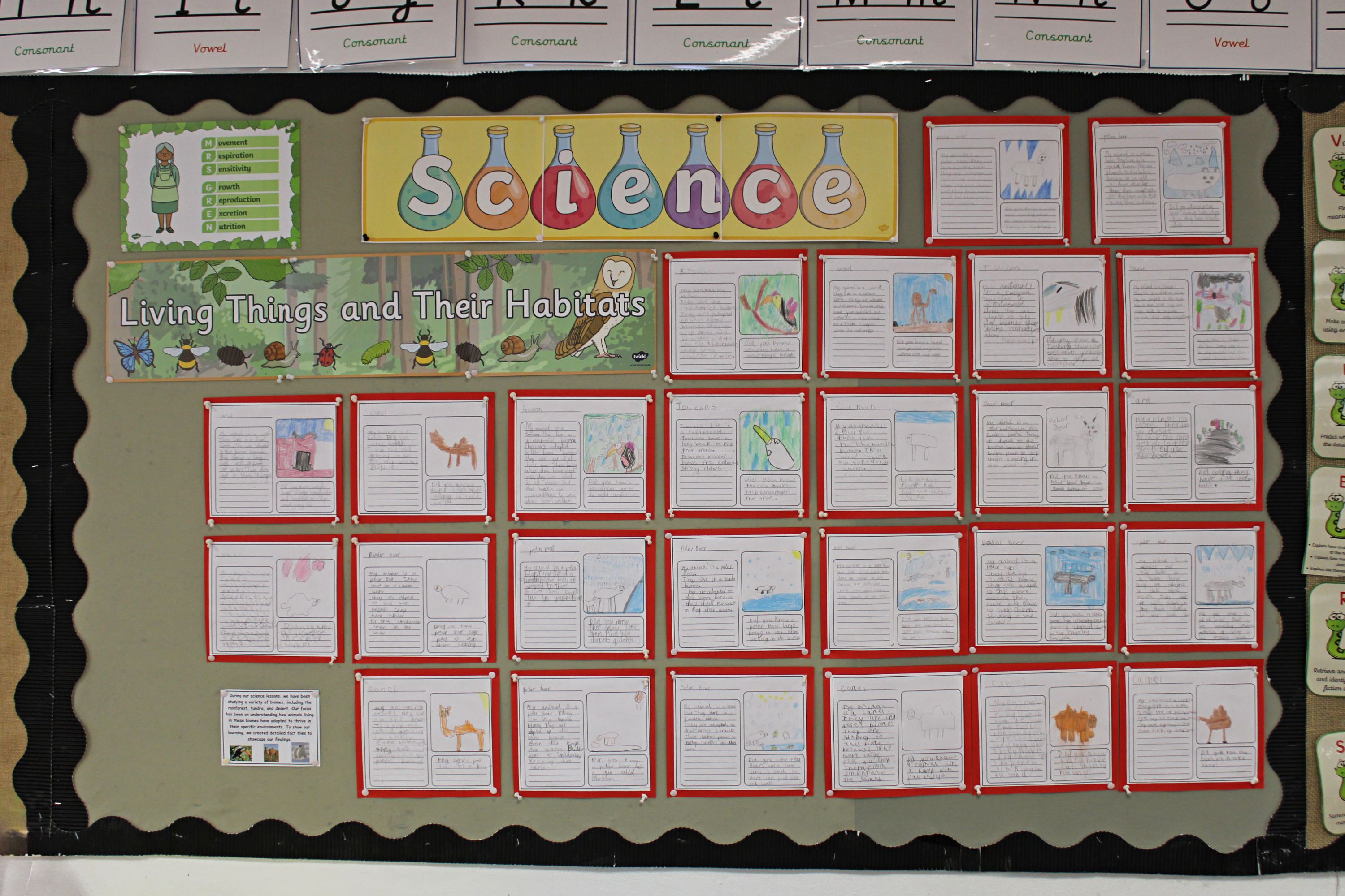 Wall display of children's science work